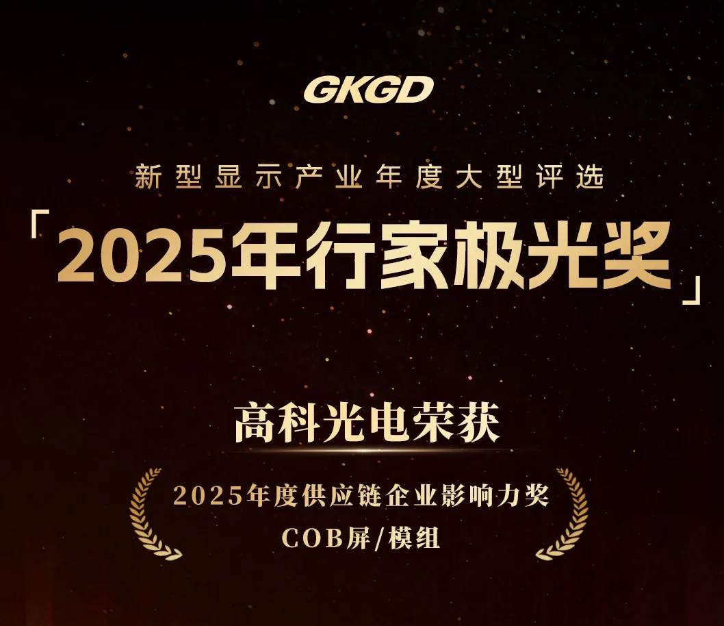 2025年行家极光奖