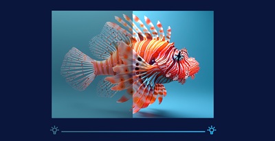 真实还原画质色彩