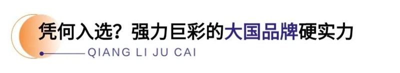 强力巨彩大国品牌实力
