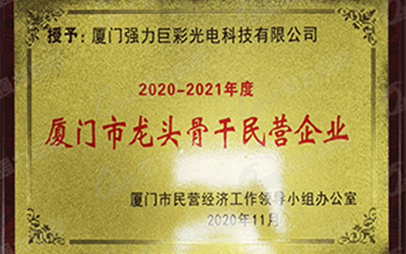 2020-2021年厦门市龙头骨干民营企业