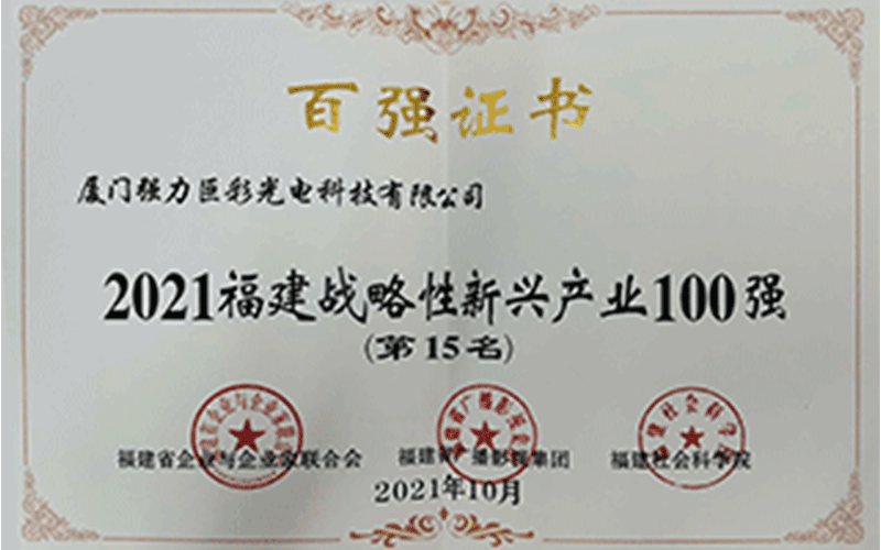 2021福建战略性新兴产业100强