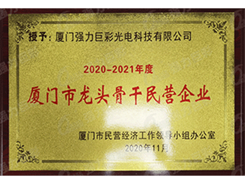 2020-2021年厦门市龙头骨干民营企业