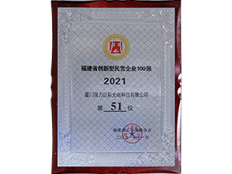 2021福建省创新型民营企业100强
