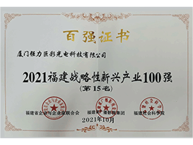 2021福建战略性新兴产业100强