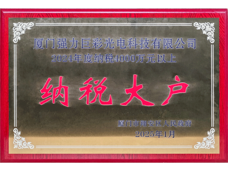 2024年度纳税大户