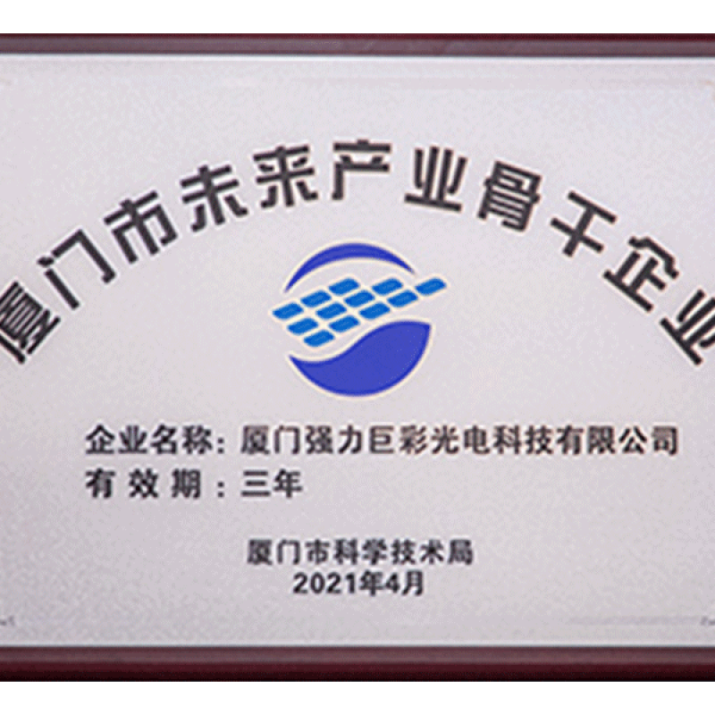 厦门市未来产业骨干企业