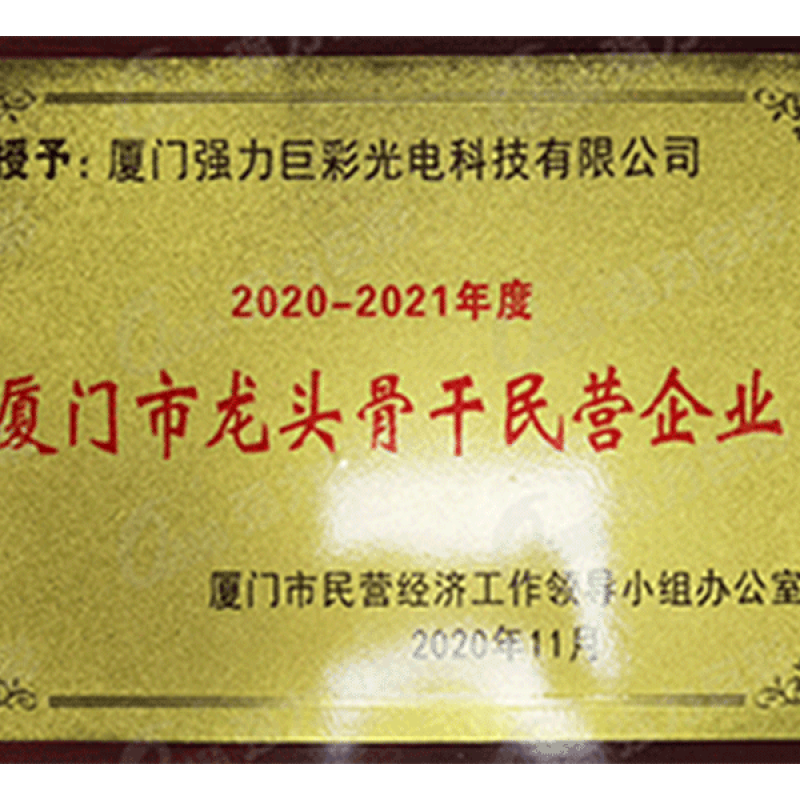2020-2021年厦门市龙头骨干民营企业