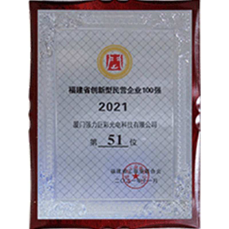 2021福建省创新型民营企业100强