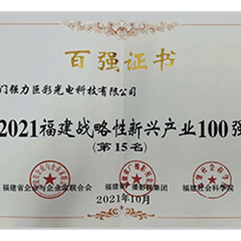2021福建战略性新兴产业100强